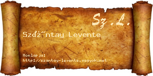 Szántay Levente névjegykártya